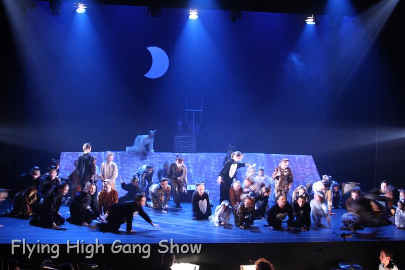 Flying high 2012 Dress Rehearsal-159.JPG - Cool For Cats