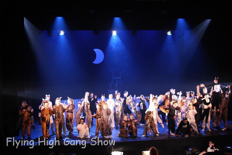 Flying high 2012 Dress Rehearsal-162.JPG - Cool For Cats