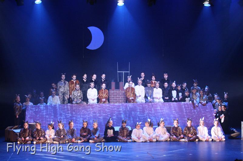 Flying high 2012 Dress Rehearsal-164.JPG - Cool For Cats