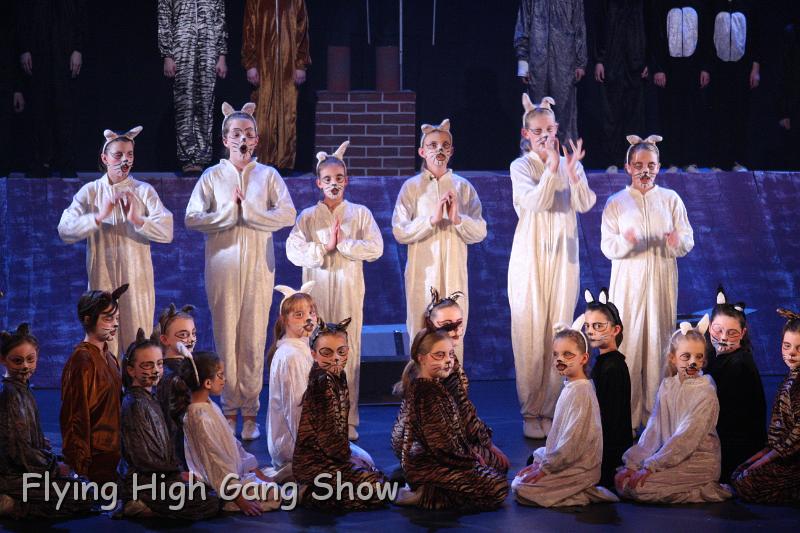 Flying high 2012 Dress Rehearsal-166.JPG - Cool For Cats