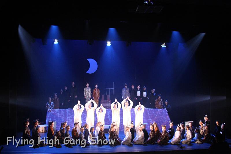 Flying high 2012 Dress Rehearsal-168.JPG - Cool For Cats