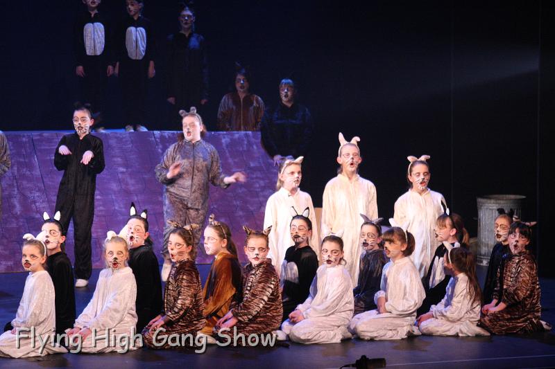 Flying high 2012 Dress Rehearsal-169.JPG - Cool For Cats