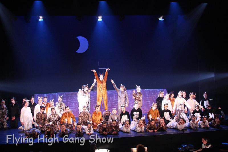 Flying high 2012 Dress Rehearsal-170.JPG - Cool For Cats