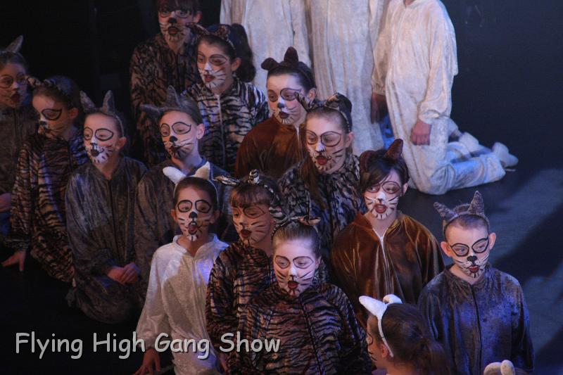 Flying high 2012 Saturday-055.JPG - Cool For Cats