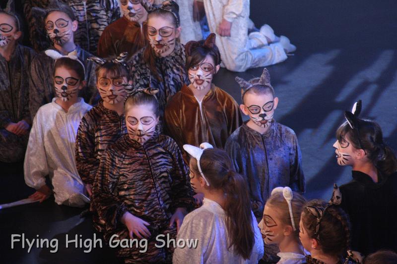 Flying high 2012 Saturday-056.JPG - Cool For Cats