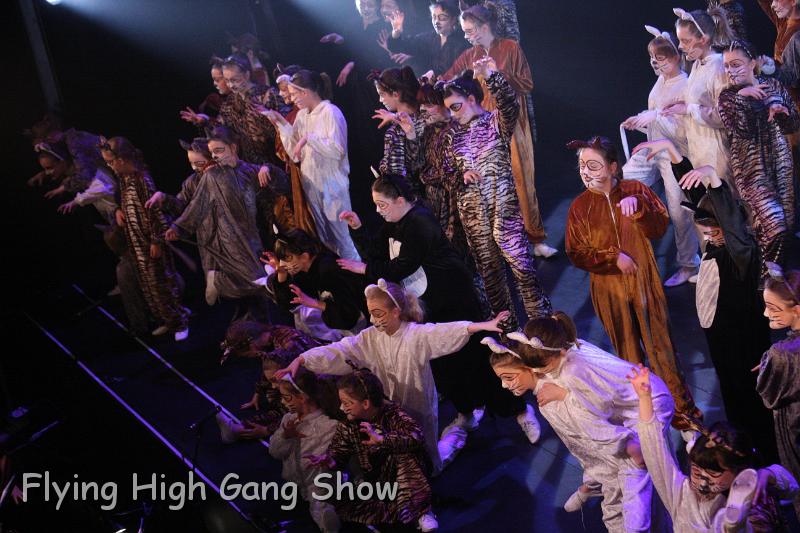 Flying high 2012 Saturday-057.JPG - Cool For Cats