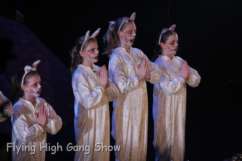 Flying high 2012 Thursday-051.JPG - Cool For Cats