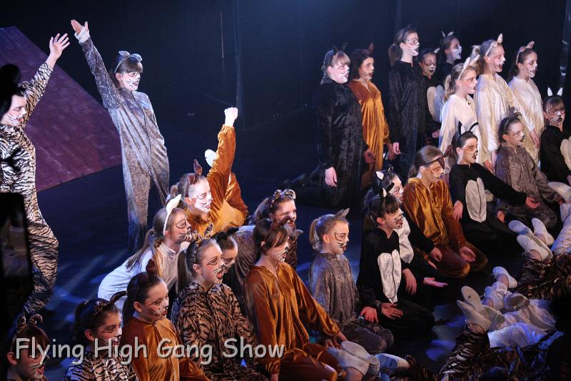 Flying high 2012 Thursday-052.JPG - Cool For Cats